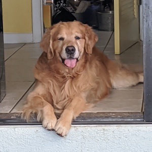 Fundraising Page: The Jolly Jasper Jug